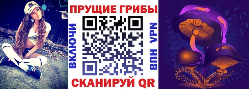 даркнет сайт  Кыштым  hydra ТОР  Галлюциногенные грибы Psilocybine cubensis 